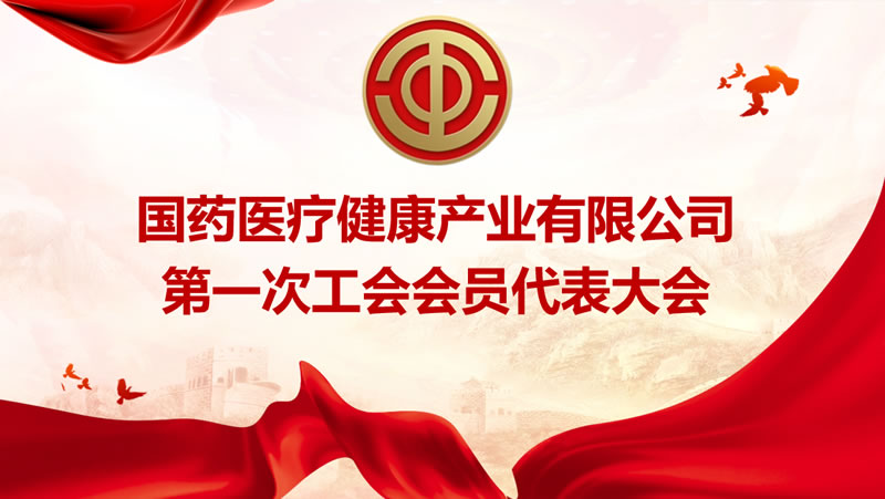 國(guó)藥醫(yī)療健康產(chǎn)業(yè)有限公司第一次工會(huì)會(huì)員代表大會(huì)勝利召開(kāi)！
